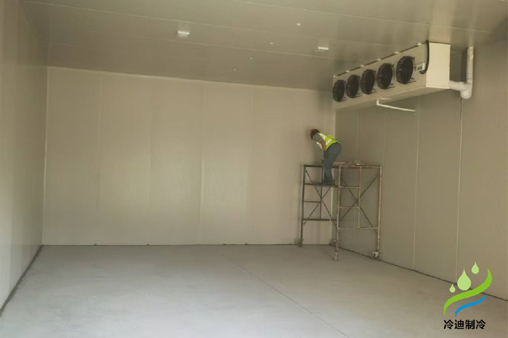 浙江500立方米醫藥冷庫工程建造案例